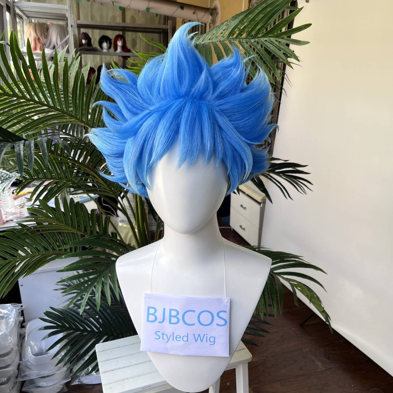 [Styled Wig]Ortho Cosplay Wig  - Men Accessories Style 评论和价格