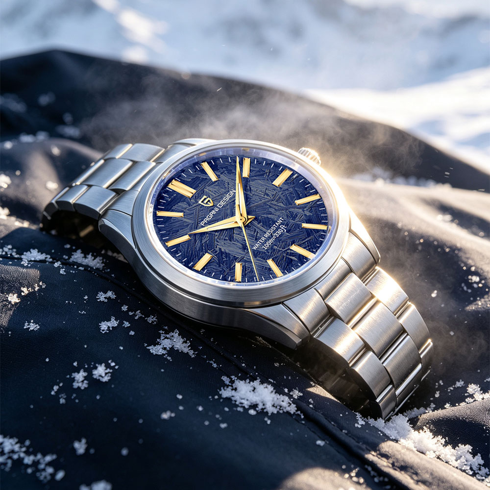 PAGANI DESIGN 40MM Men Quartz  - Men'S Accessories And Jewelry 评论和价格